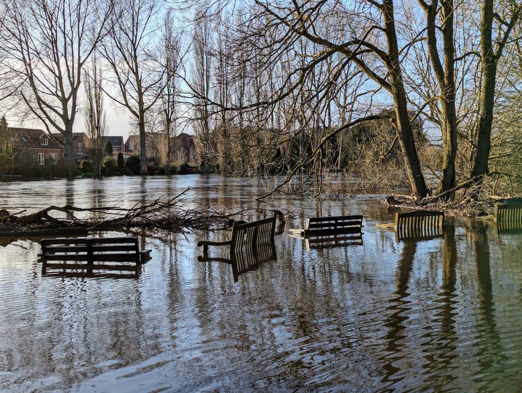 flood damage help nyc