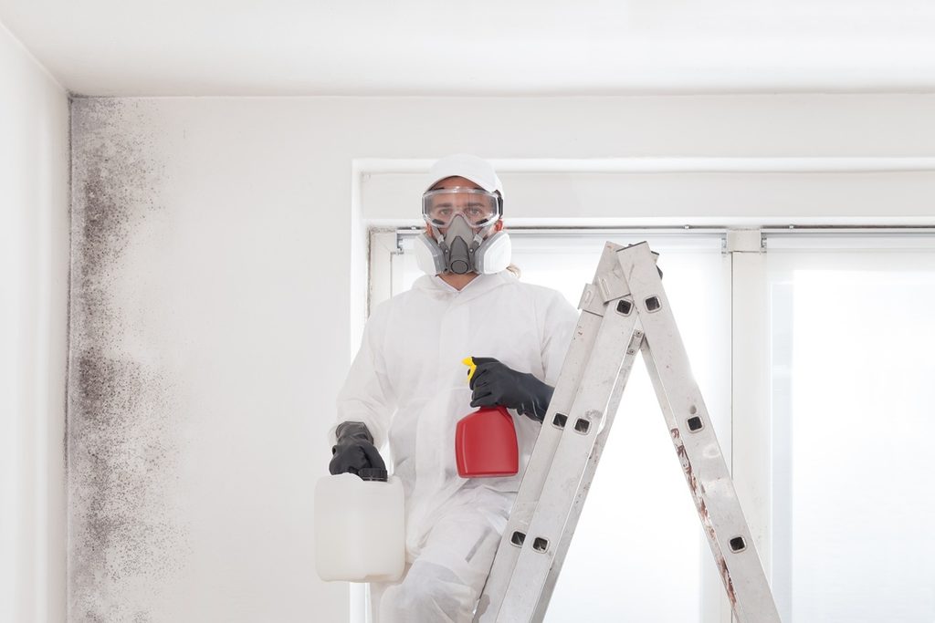 Mold remediation professional in protective suit ready to clean mold after water damage in New York property